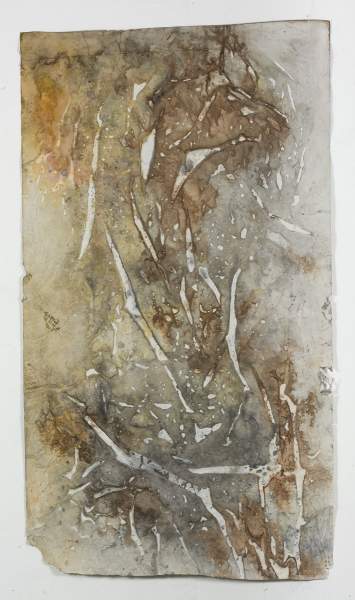 FOSSILS